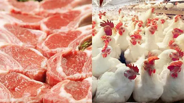 هل أزاح الدجاج اللحوم من على ع...