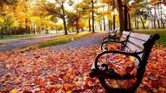 الأرصاد: الأجواء تميل للطابع ا...
