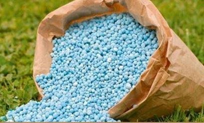 صادرات الأسمدة المصرية ترتفع 1...