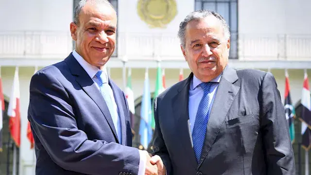 عبد العاطي يهنئ نبيل فهمي بتول...
