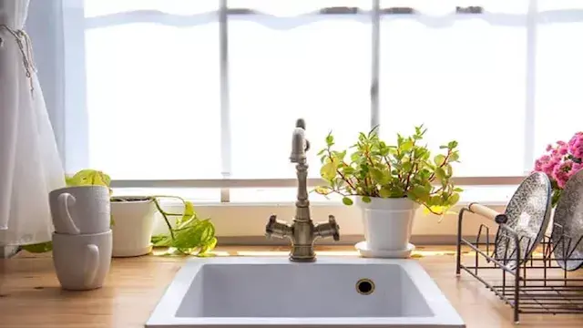 تعرف على السبب الحقيقي وراء وج...