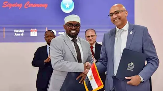هيئة الدواء المصرية والصومال ت...