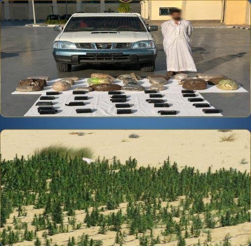 الداخلية تداهم مزرعتين بالإسما...