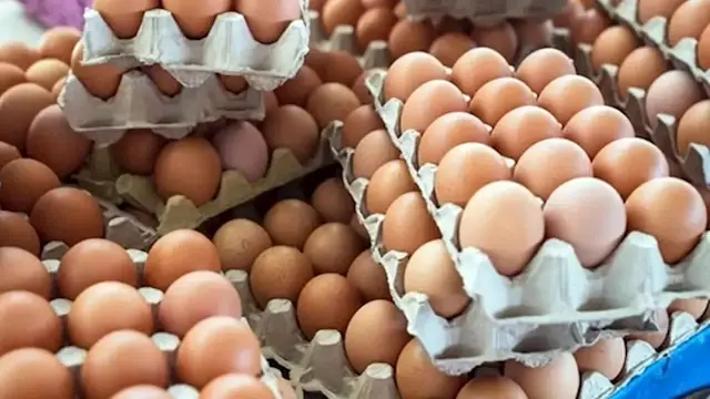 بعد انخفاض أسعاره.. رئيس شعبة...