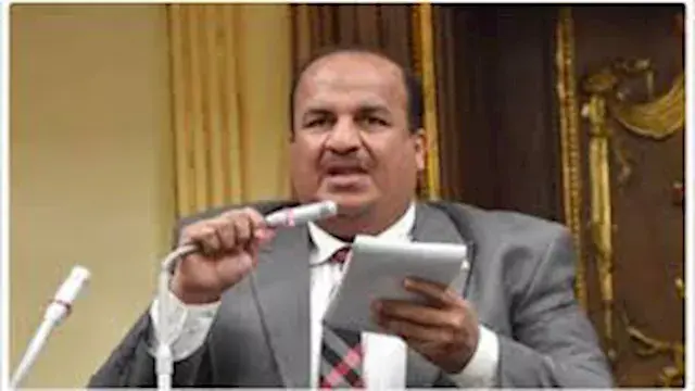 تحرك برلماني لتحويل مبادرات خف...