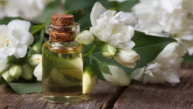 شتشُم الياسمين دون وجوده.. كيف يصنع المختبر هذه الرائحة في العطور؟