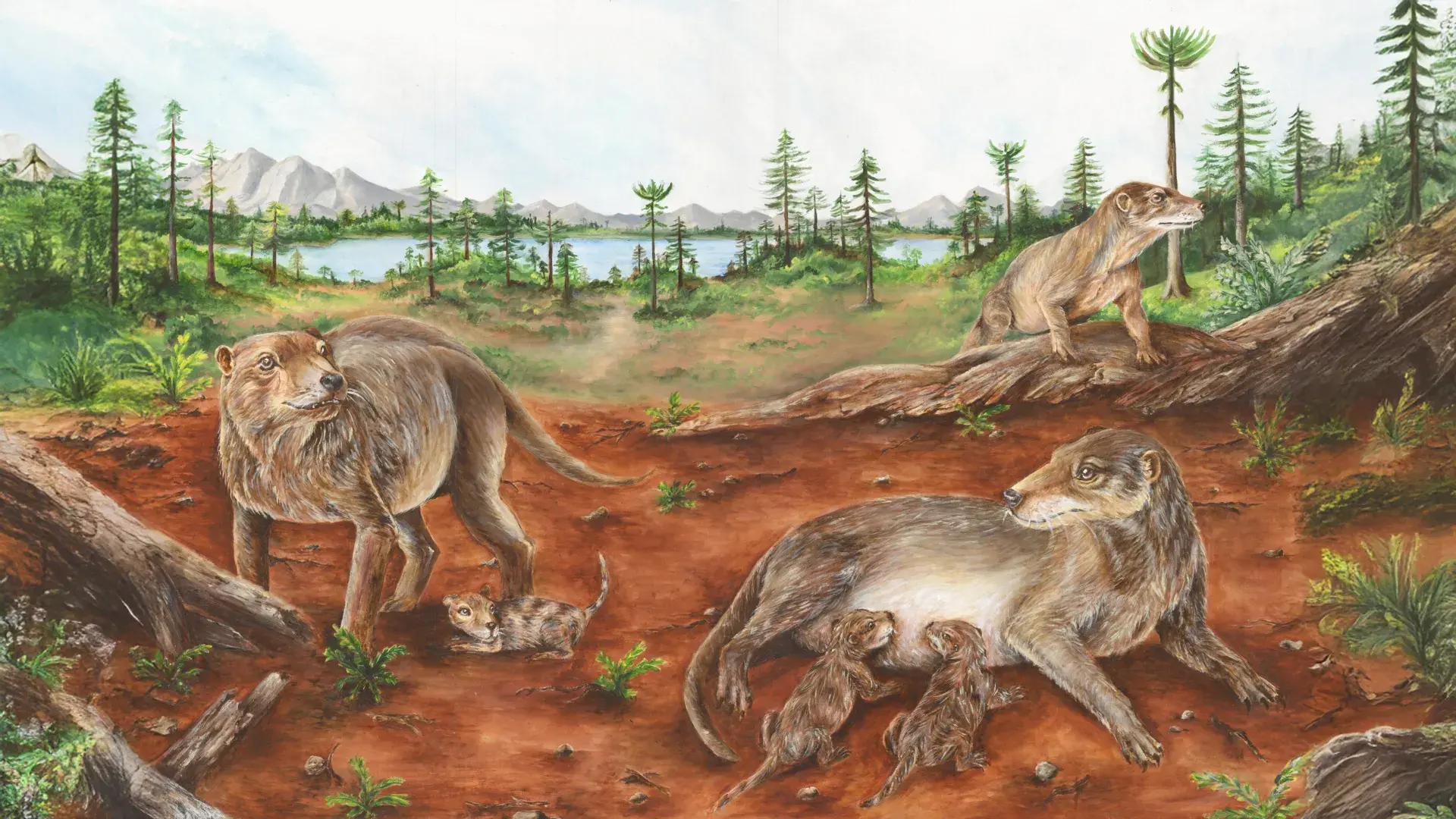 A 236-million-year-old fossil...