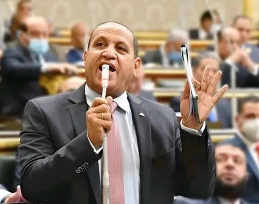النائب أحمد العرجاوي يطالب بإد...