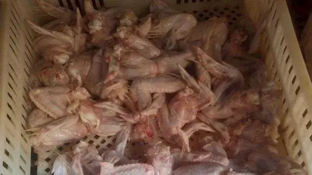 الزراعة تضبط 213 طنًا من اللحو...