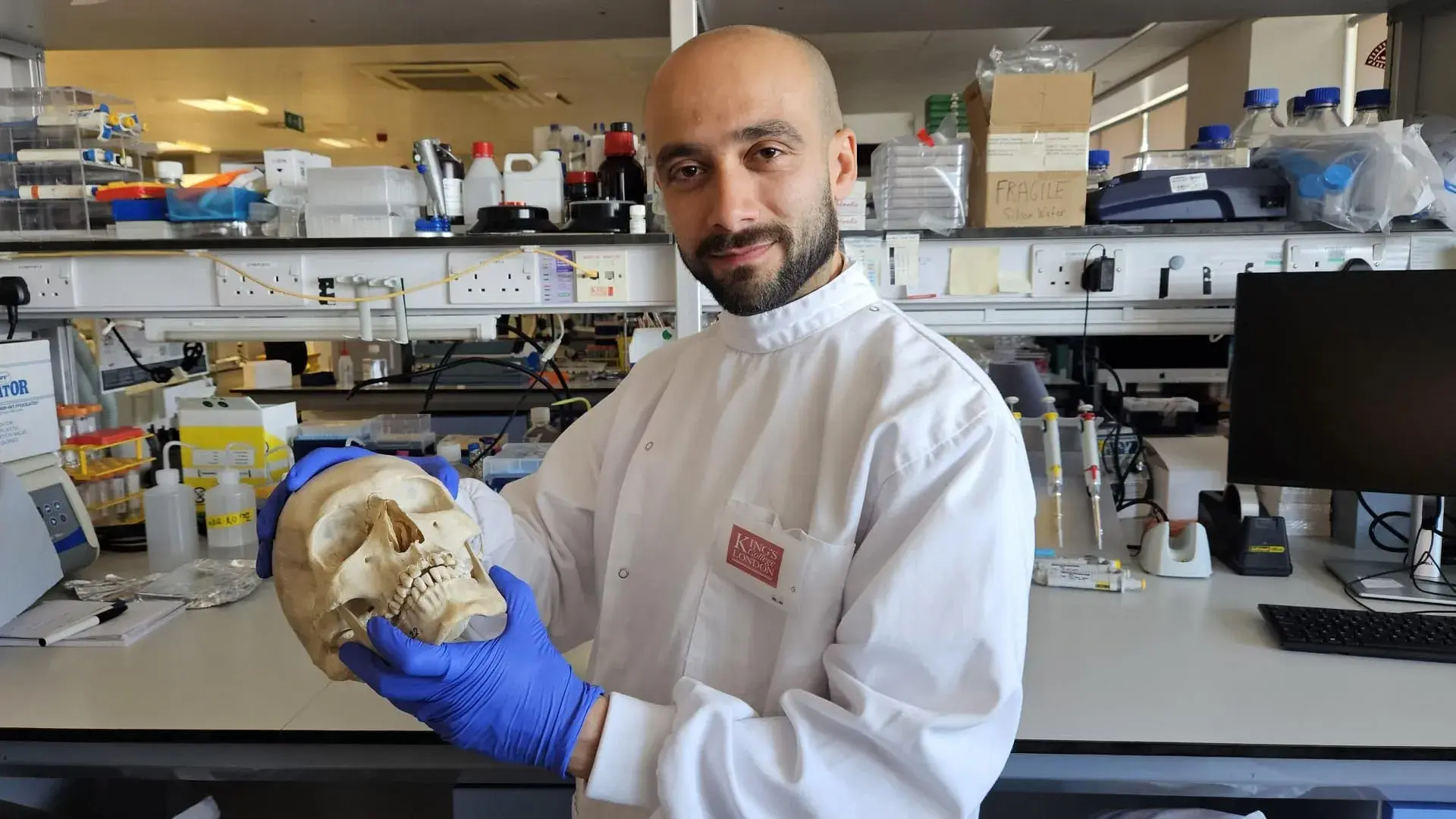 Scientists turn sheep’s wool i...