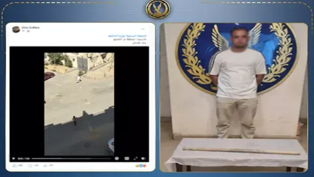 ادعى انزعاجه من النباح.. ضبط متهم بالتعدي على كلب حتى النفوق بالقاهرة
