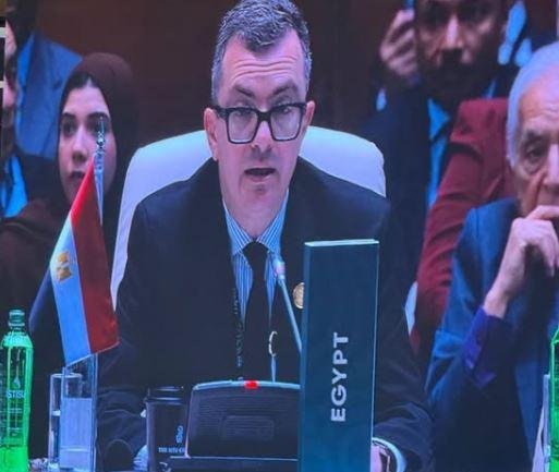 مصر تدعو إلى نموذج متكامل يربط...