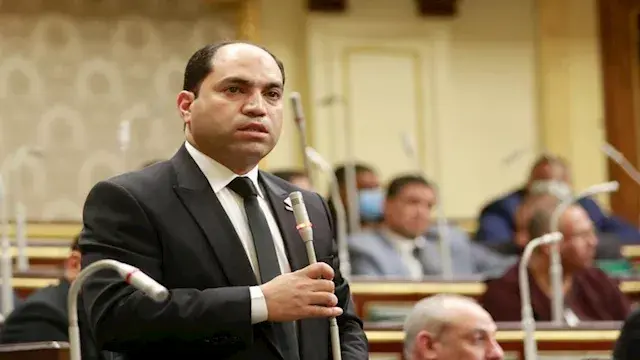برلماني: الانحياز للدولة لا يع...