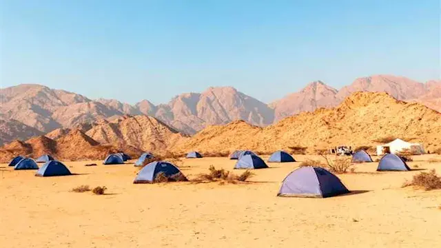 هل تغيرت سياحة التخييم في مصر؟.. نقيب السياحيين يجيب