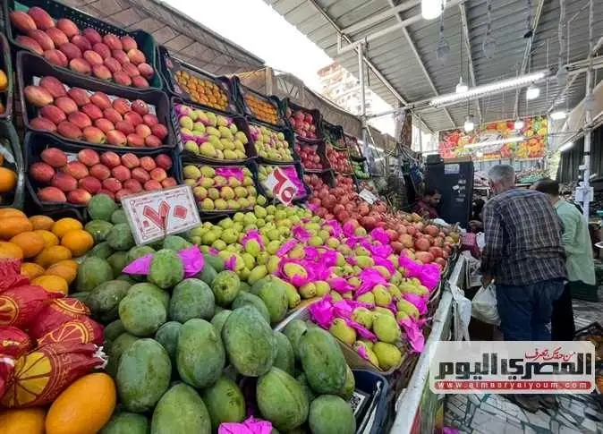 الطماطم بـ 15 جنيهًا.. سعر الخضار والفاكهة فى أسواق الشرقية اليوم الأحد 27 سبتمبر 2026