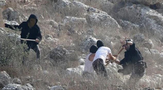 إرهاب المستوطنين.. إصابة فلسطيني وطفليه ومنع مزارعين من قطف الزيتون