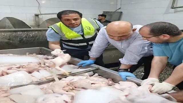 ضربات استباقية قبل العيد.. ضبط 3 أطنان دواجن فاسدة بالقليوبية وطوارئ بسبب النافق في المنوفية