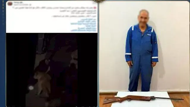 ضبط شخص تعدّى على كلاب ضالة بس...