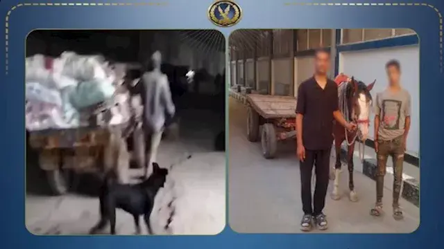 بعد فيديو أثار الغضب.. ضبط عاط...