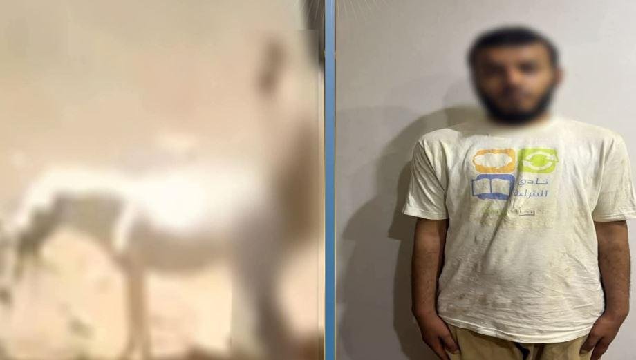 مريض نفسي.. ضبط المتهم بالتعدي...