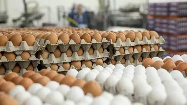 هل نظام الطيبات له علاقة بتراج...