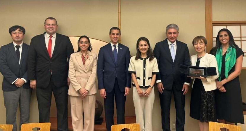 السياحة تبحث مع جايكا الياباني...