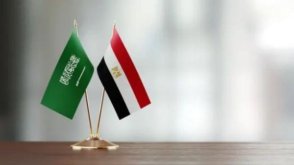 عضو جمعية الاقتصاد السعودية: نحو 7 آلاف شركة سعودية تستثمر في مصر بالمليارات