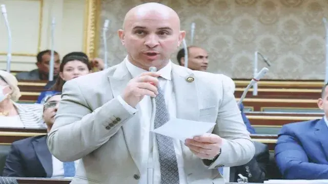 نائب ينتقد الخدمات الطبية بمست...