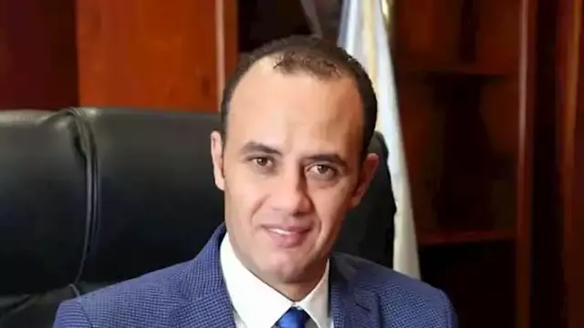 "أقصى صلاحية 3 أيام".. شعبة الدواجن تحذر من تداول الهياكل غير المبردة