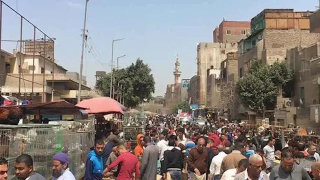من بيت لبيت.. كيف يعيد "سوق ال...