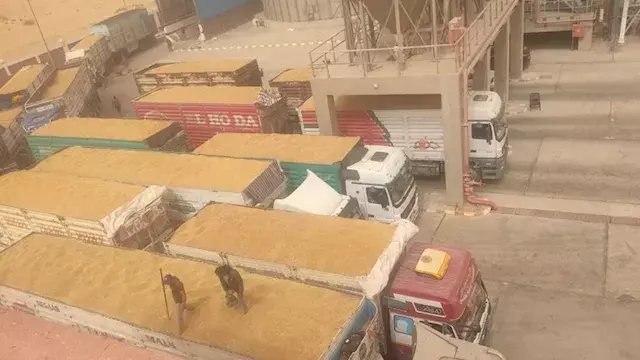 الوادي الجديد تحتل المركز الأو...