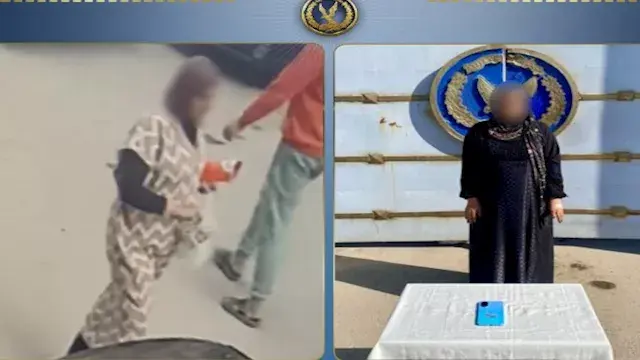 الداخلية تضبط سيدة سرقت هاتف ط...