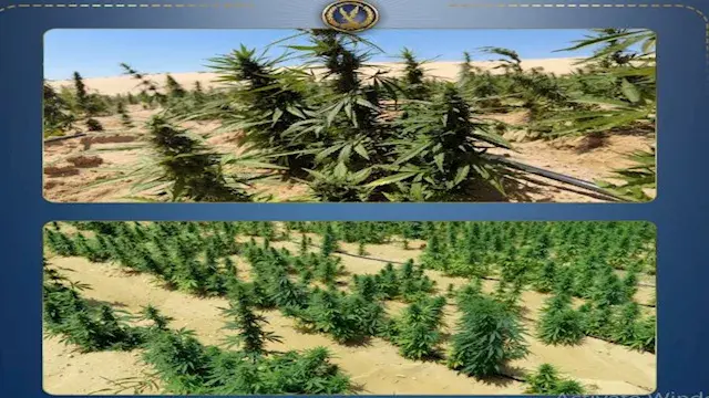 الداخلية تضبط 2.5 طن هيدرو وحش...