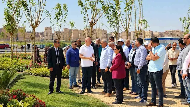 "تخضير القاهرة".. المحافظ يتاب...
