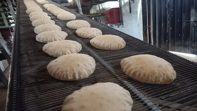 مخابز بورسعيد تجدد مقترح الخبز البلدي الحر لحماية ‏الأمن الغذائي
