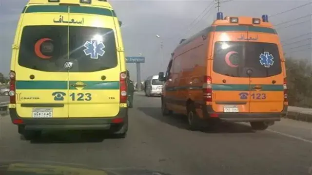 دماء على الأوتوستراد.. مصرع شخ...