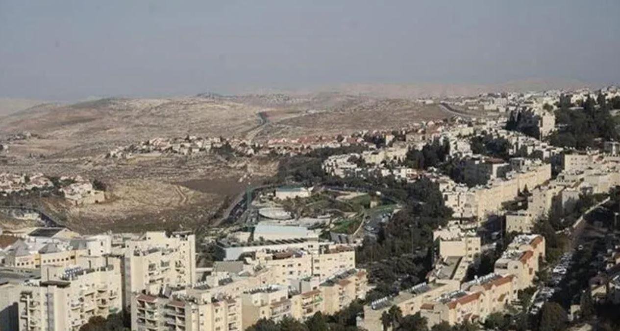 هيئة فلسطينية: عدد المستوطنات...
