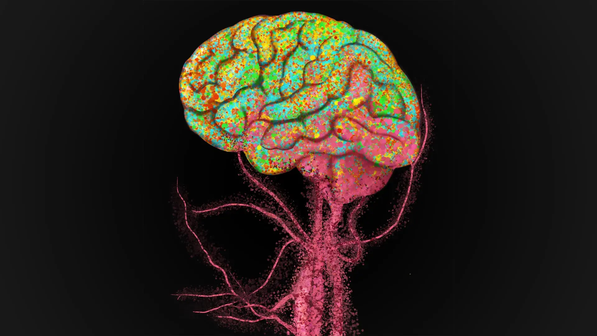 Immune cells flood into the ag...