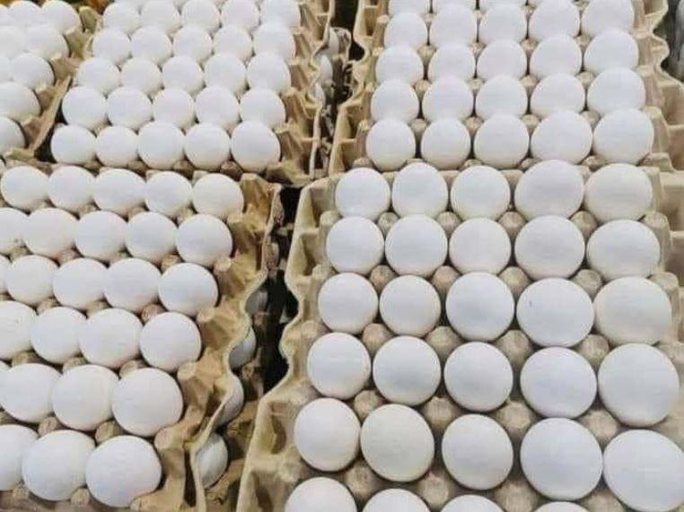 الزراعة: حققنا الاكتفاء الذاتي...
