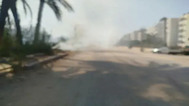 بالصور- السيطرة على حريق في نخيل وحشائش على الطريق الزراعي بالمنيا