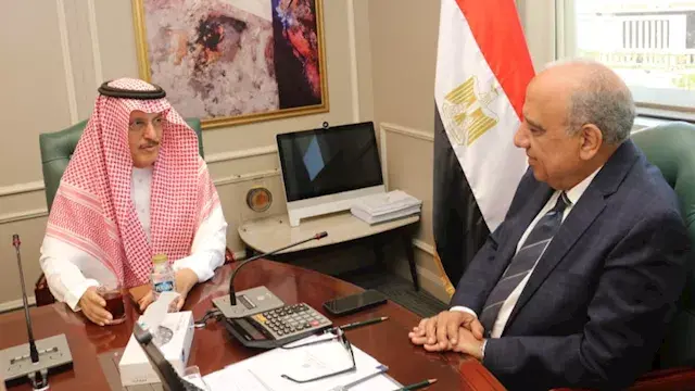 وزير الكهرباء يبحث مع أكوا باو...