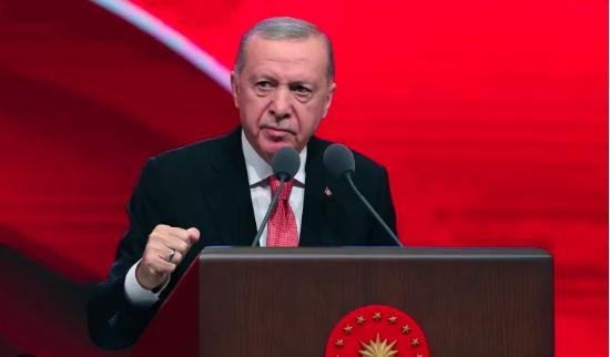 أردوغان: الهدف من الدستور الجد...