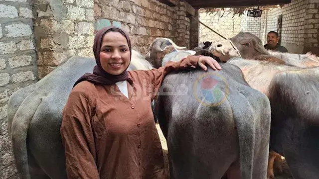 "بخلطة حبة البركة والزفة البلدي".. "آية" تتربع على عرش الجزارة بسوهاج -فيديو وصور