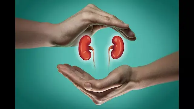 ماذا يحدث للكبد عند السهر يومي...
